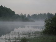 IMG_0247.jpg