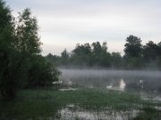 IMG_0246.jpg