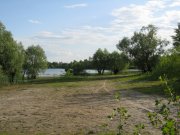 IMG_0219.jpg