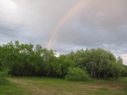 IMG_0223.jpg