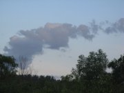 IMG_0248.jpg