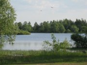 IMG_0221.jpg