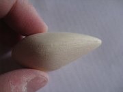IMG_0276.jpg