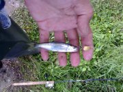 05062008435.jpg