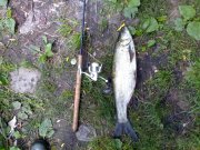 05062008429.jpg