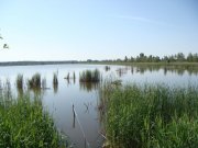 DSC01101.jpg