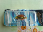 DSC00612.JPG