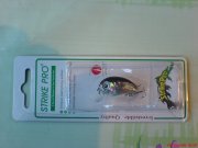 DSC00604.JPG