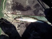 20120902_114132.jpg