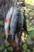 IMG_0039.jpg