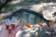 IMG_0045.jpg
