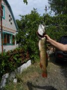 DSCN5004.jpg