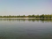 DSC05460.JPG