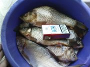 DSC05464.JPG