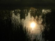DSCN4215.JPG