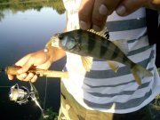 PIC_03353.jpg