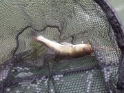 20120908_132533.jpg