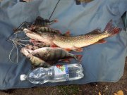 20120908_150605.jpg