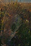 8004107151_27d4d25396_k_resize.jpg