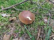 DSCF5319.jpg