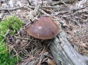DSCF5317.jpg