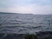 DSC00705.jpg