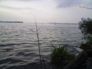 DSC00702.jpg