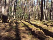 DSC04785.JPG