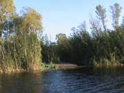 DSC00070.JPG