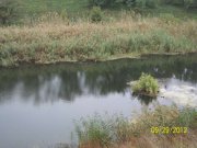 100_2356_thumb.jpg