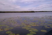 IMAG0231.jpg