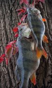 IMG_0714.jpg