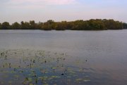 IMG_0717.jpg