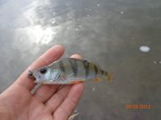 DSC00060.jpg