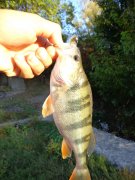 DSC00080.jpg