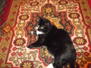 DSCF5341.jpg