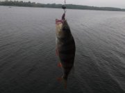 DSCF5352.jpg