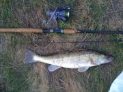 IMG_0737.jpg