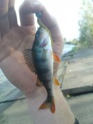 DSC01213.JPG