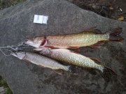 20121006_172813.jpg