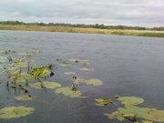 DSC05535.JPG