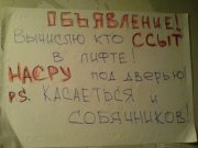 _294_20101222_1679406767.jpg