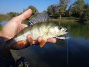 DSC00258.JPG