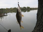 IMG_2976.JPG