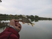 IMG_2978.JPG