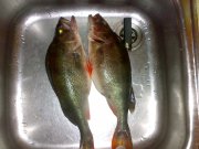 131020121287.jpg