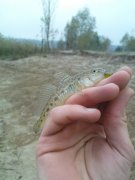 DSC01262.JPG