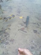 DSC01261.JPG