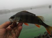 DSCF5373.JPG