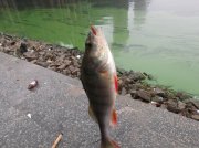 DSCF5378.JPG